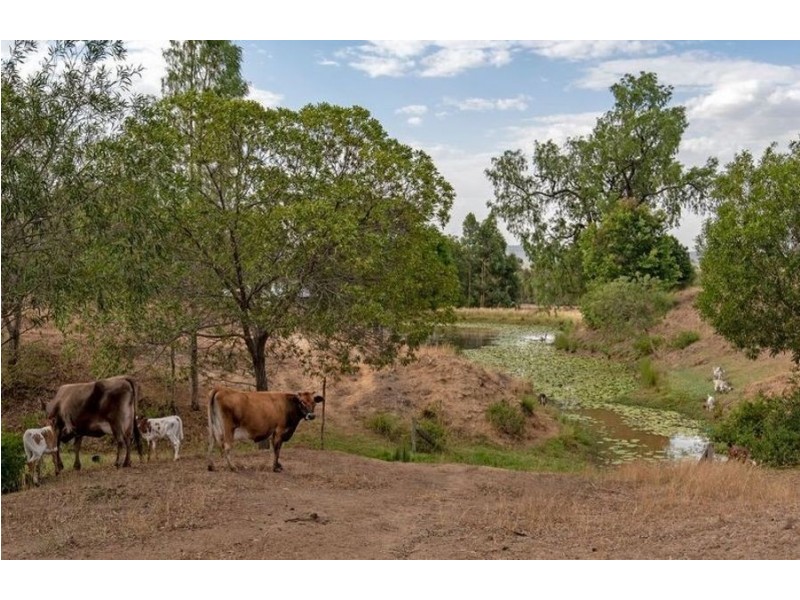 20 Dolleys Road, Withcott QLD 4352