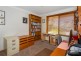 19 Elizabeth Street, Withcott QLD 4352
