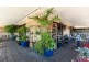 19 Elizabeth Street, Withcott QLD 4352