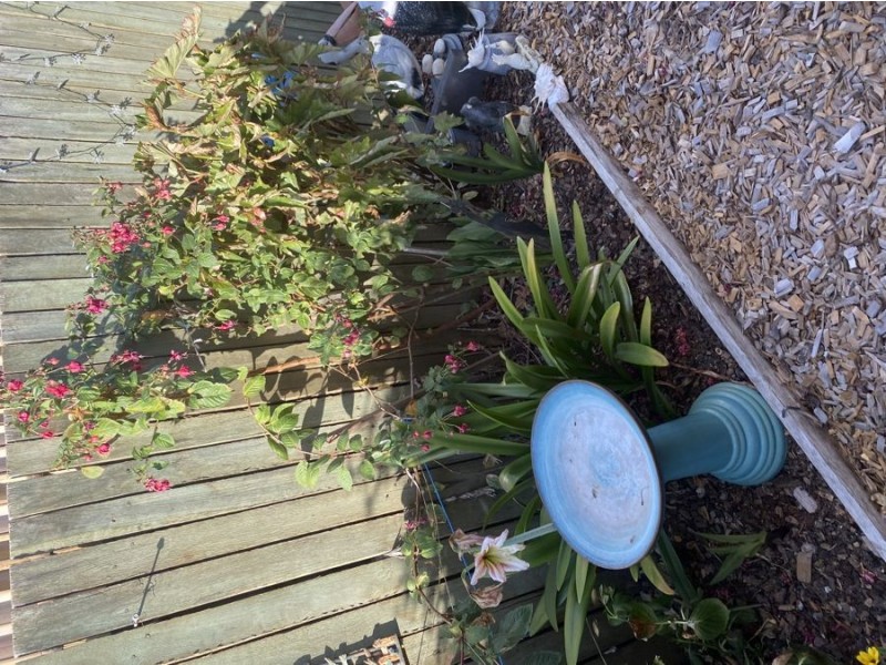 35/55-59 Drayton Road, Harristown QLD 4350