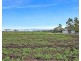 52 Hartvigsen Road, Wyreema QLD 4352