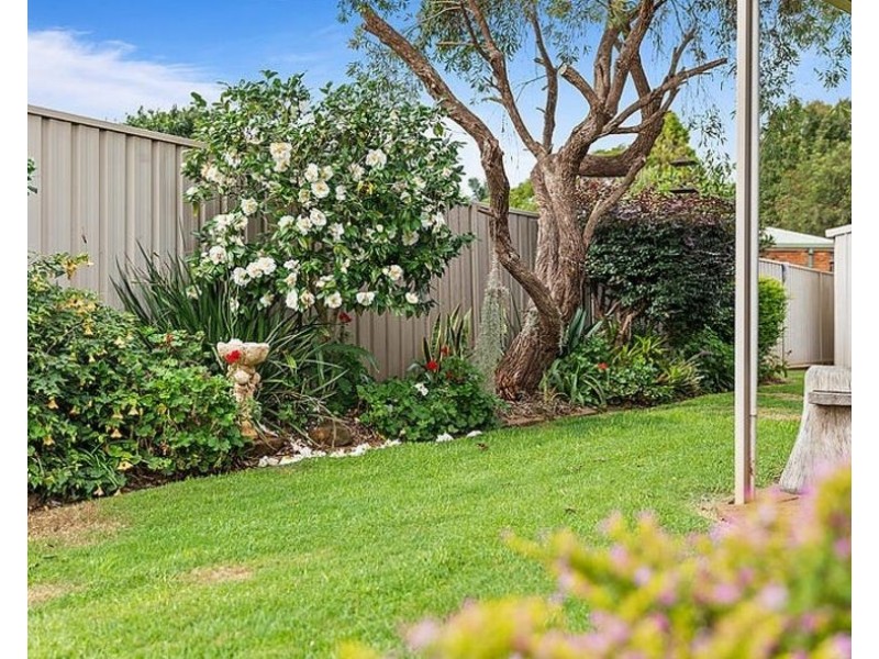 5 Edwin Court, Centenary Heights QLD 4350