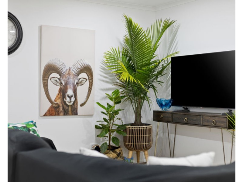 3 Buena Vista Crescent, Blue Mountain Heights QLD 4350