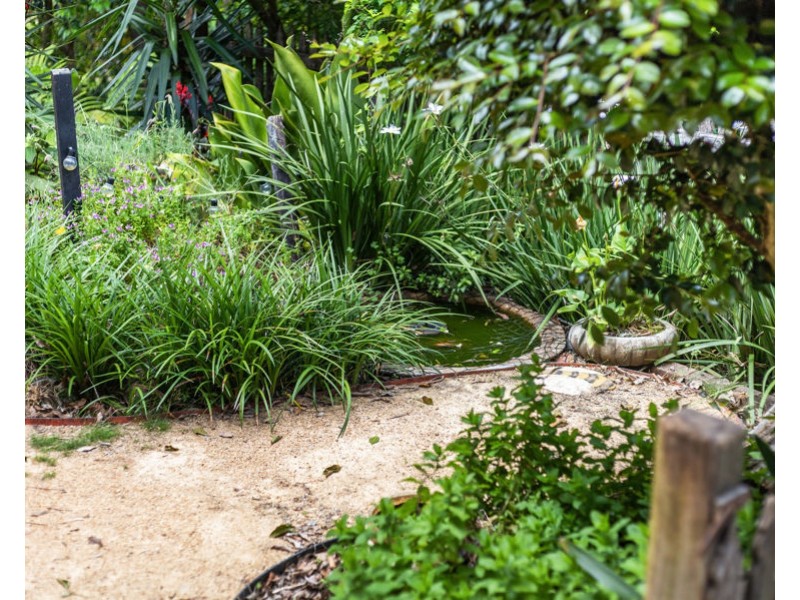 3 Buena Vista Crescent, Blue Mountain Heights QLD 4350