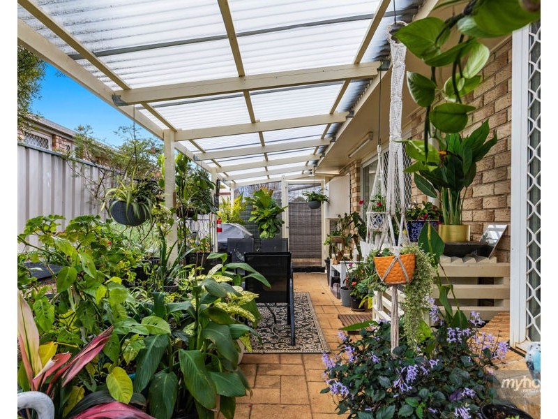 26 Halsworth Street, Cranley QLD 4350