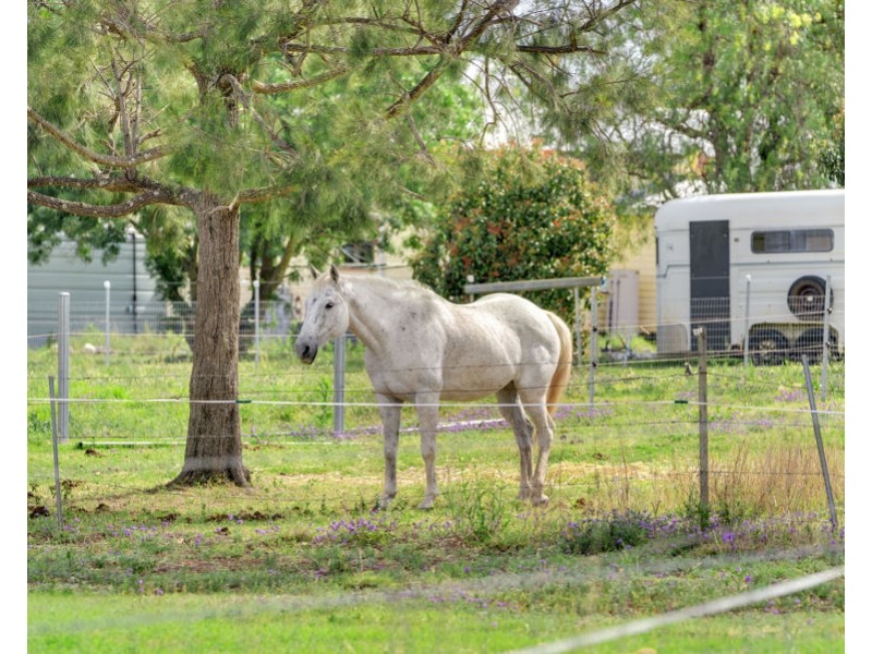 34 Sparksman Road, Mount Marshall QLD 4362