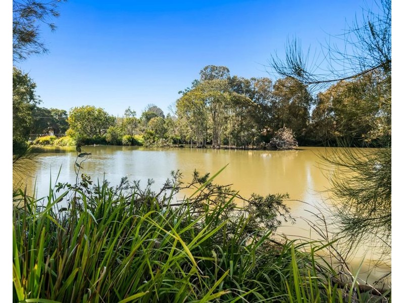 152 Alderley Street, Centenary Heights QLD 4350