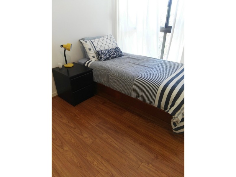 34 Bronzewing Close, Elanora QLD 4221