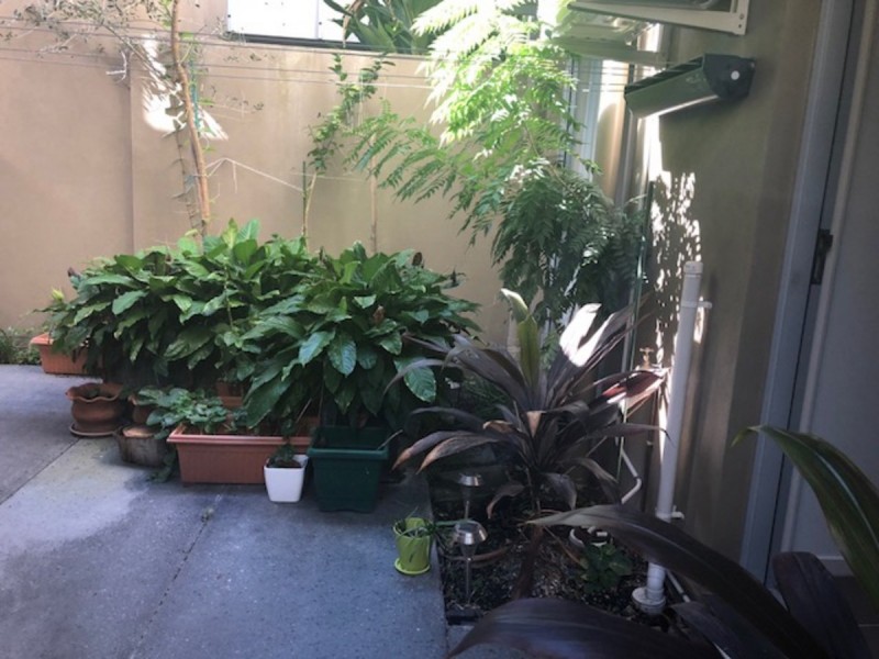 56 Watts Drive, Varsity Lakes QLD 4227