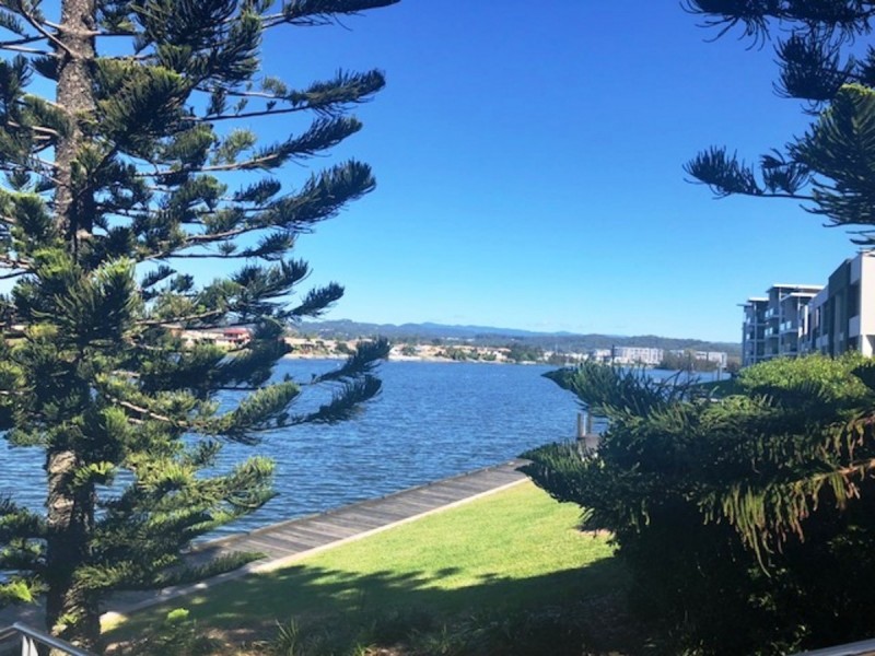 56 Watts Drive, Varsity Lakes QLD 4227