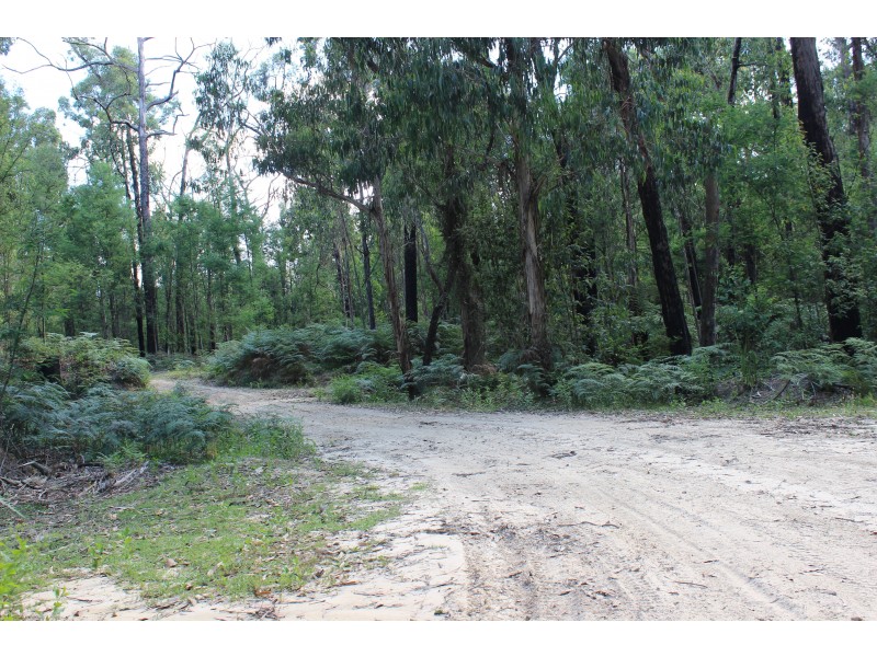 345 Old Toolangi-Dixons Creek Road, Toolangi VIC 3777