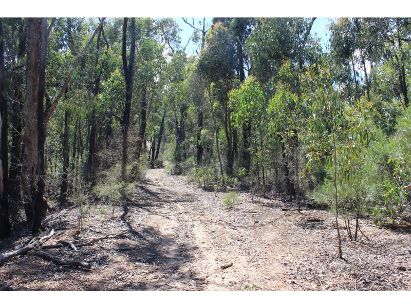 345 Old Toolangi-Dixons Creek Road, Toolangi VIC 3777