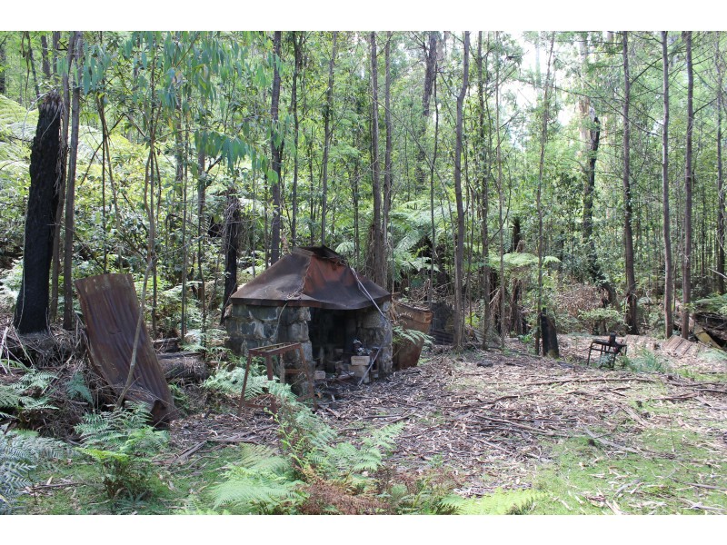 345 Old Toolangi-Dixons Creek Road, Toolangi VIC 3777