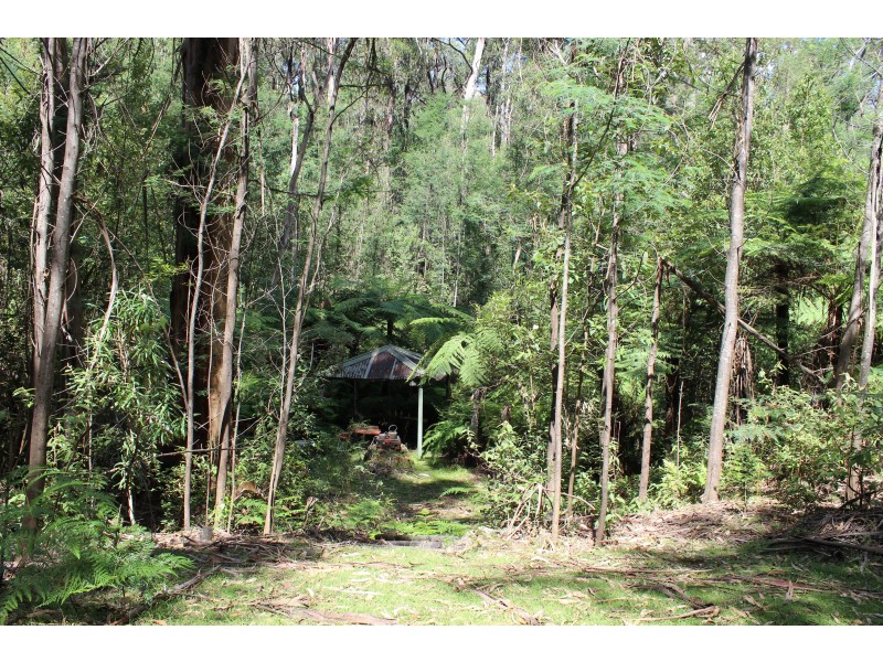 345 Old Toolangi-Dixons Creek Road, Toolangi VIC 3777