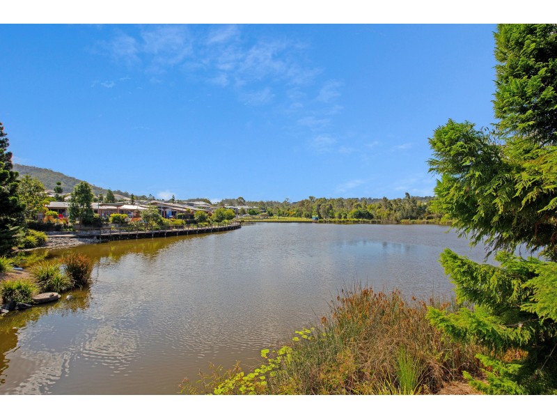 4 Wingham Lane, Upper Coomera QLD 4209