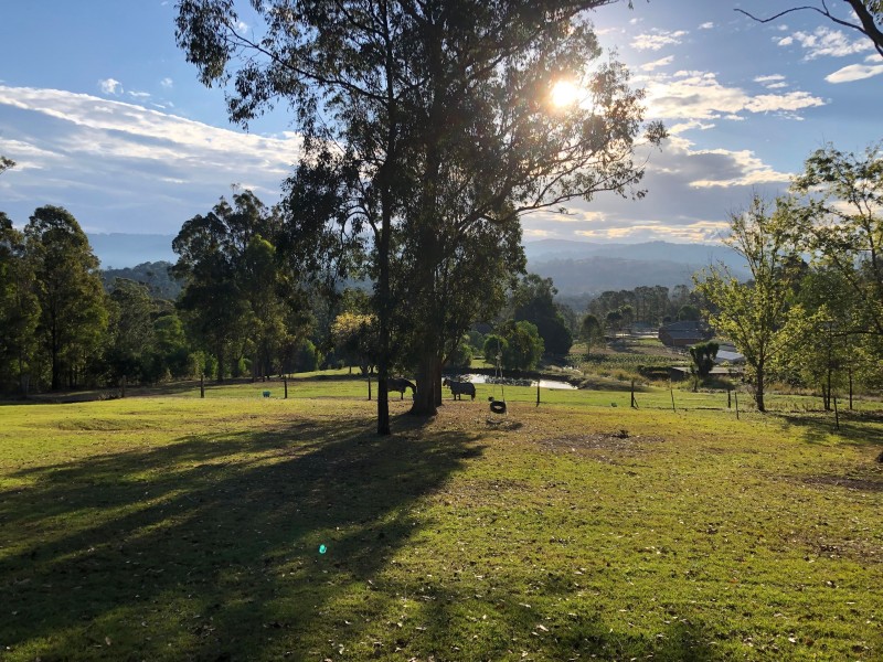 382 Maudsland Road, Maudsland QLD 4210