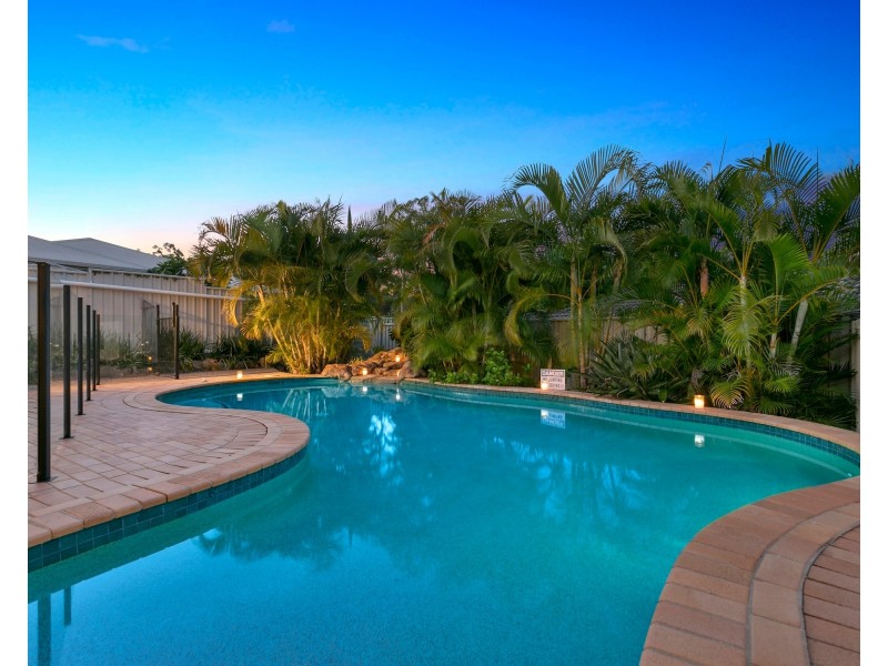 16 Litsea Court, Reedy Creek QLD 4227