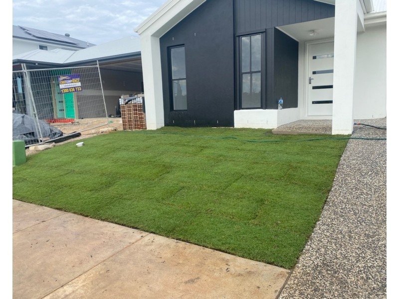 73 Foreshore Street, Coomera QLD 4209