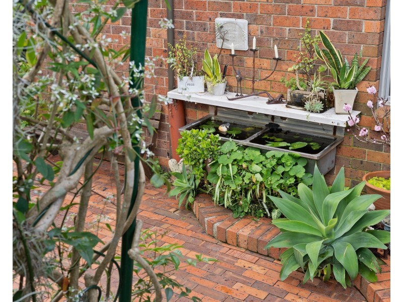 71 Dover Place, Engadine NSW 2233