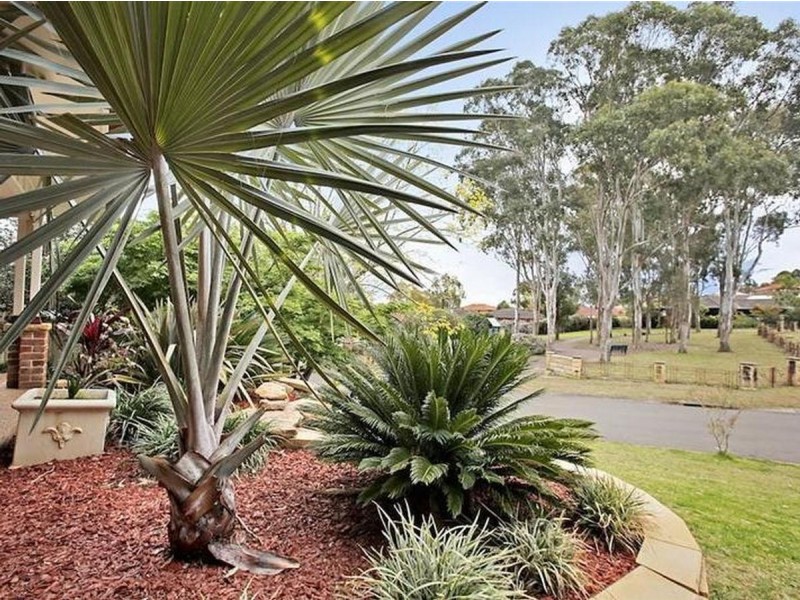 12 Solander Place, Mount Annan NSW 2567