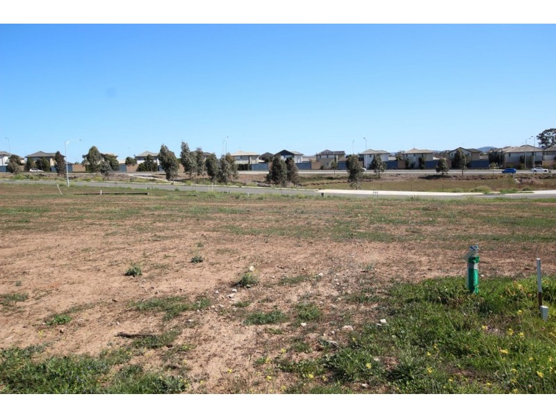 4 Galah Way, Spring Farm NSW 2570