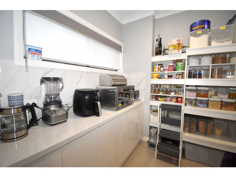 11 Maize Avenue, Spring Farm NSW 2570