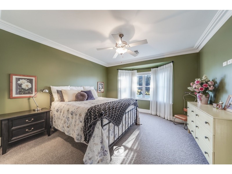 34 harrington street, Elderslie NSW 2570