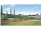 6 Thurn Place, Elderslie NSW 2570