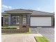 55 Water Gum Road, Gregory Hills NSW 2557