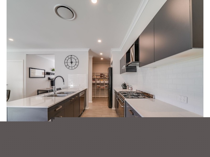 55 Water Gum Road, Gregory Hills NSW 2557