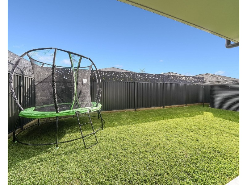 55 Water Gum Road, Gregory Hills NSW 2557