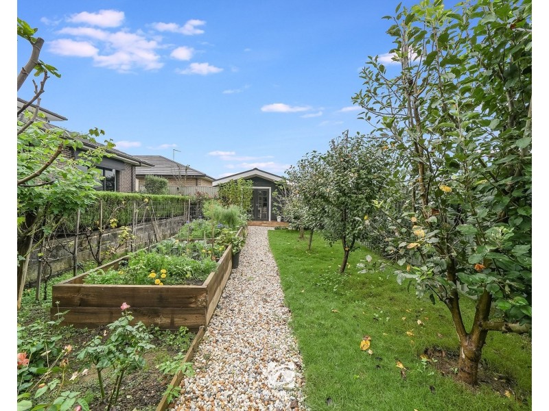15 Jenolan Cct, Harrington Park NSW 2567