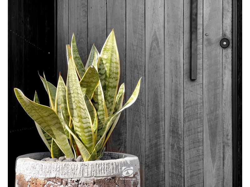 49 Rutherford Circuit (GROVE ESTATE), Harrington Park NSW 2567