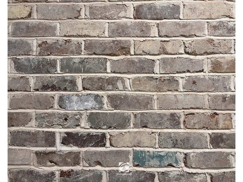 49 Rutherford Circuit (GROVE ESTATE), Harrington Park NSW 2567