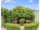 20 Pippen Street, Harrington Park NSW 2567