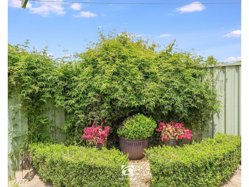 20 Pippen Street, Harrington Park NSW 2567
