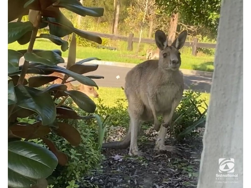 18 Hawthorne Circuit (Harrington Grove), Harrington Park NSW 2567