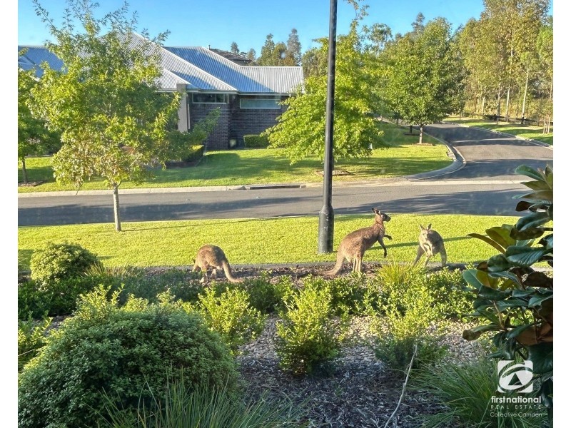 18 Hawthorne Circuit (Harrington Grove), Harrington Park NSW 2567