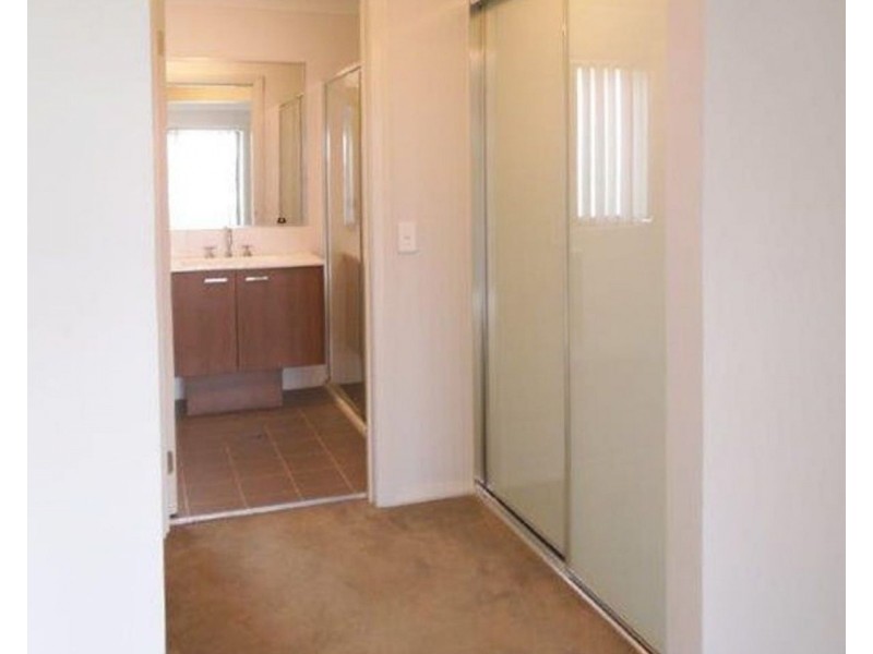 31 Bandara Circuit, Spring Farm NSW 2570