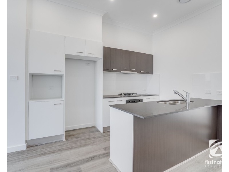 53 Dransfield drive, Oran Park NSW 2570