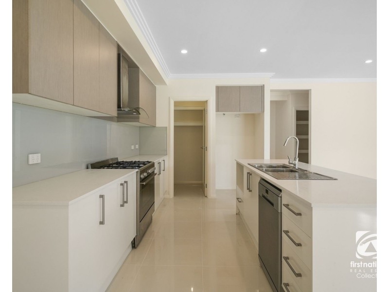 53 Easton Avenue, Spring Farm NSW 2570