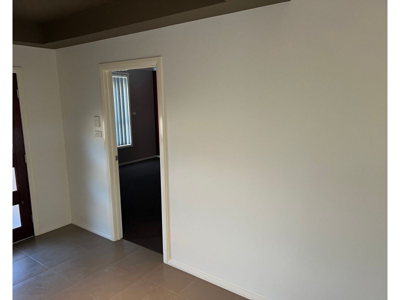 20 Plymouth Boulevard, Spring Farm NSW 2570