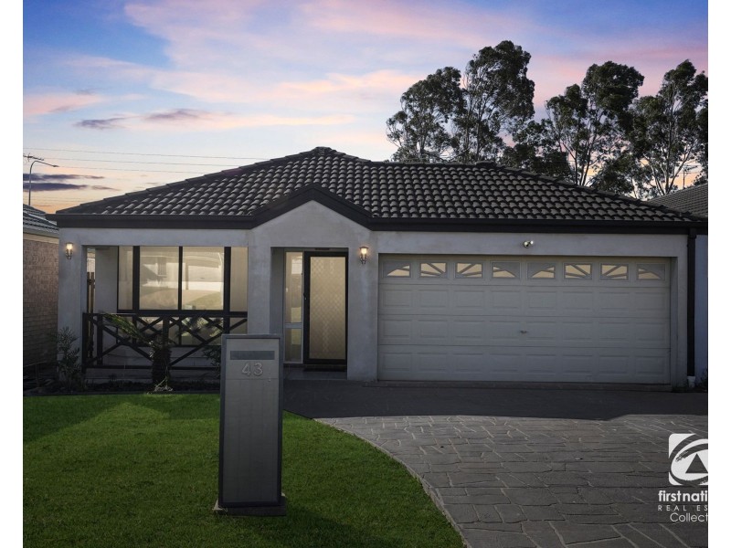 43 Montgomery Circuit, Narellan Vale NSW 2567