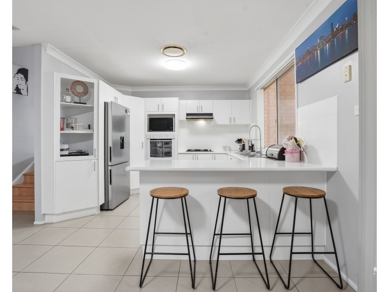 3 Callicoma Street, Mount Annan NSW 2567