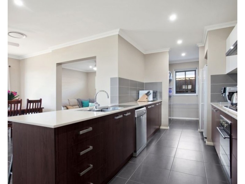 20 Dragonfly Drive, Chisholm NSW 2322