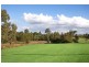 1 Reynolds Close, Duns Creek NSW 2321
