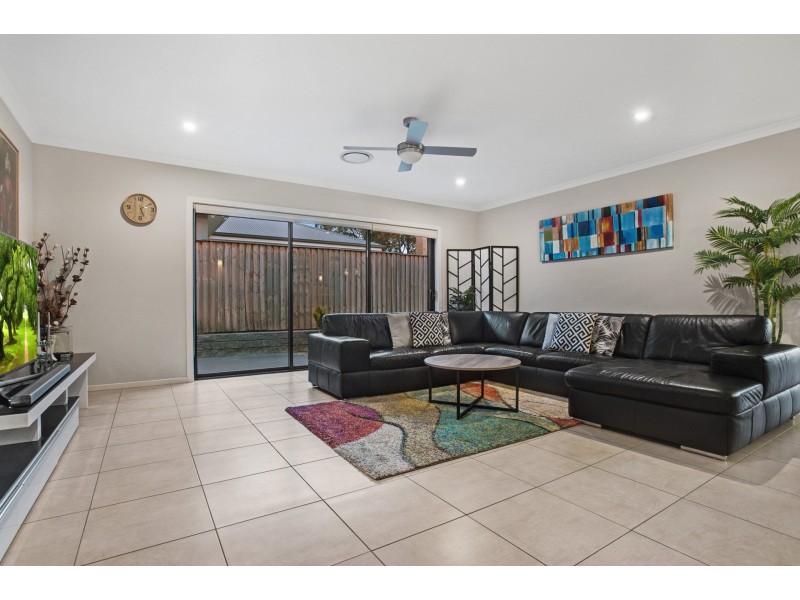 19 Arrowtail Street, Chisholm NSW 2322