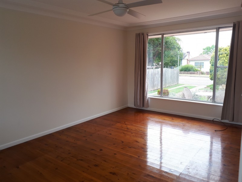 47 Collinson Street, Tenambit NSW 2323