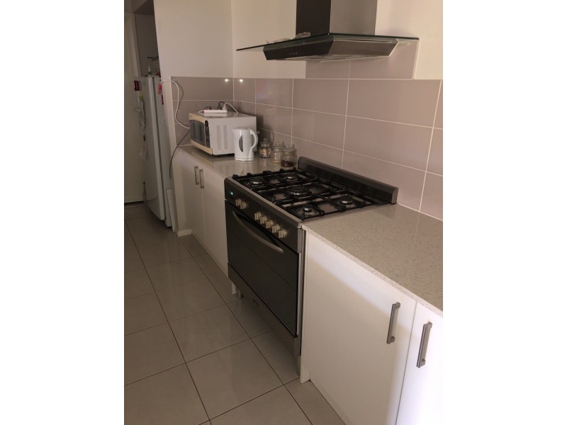 18 Oystercatcher Street, Aberglasslyn NSW 2320