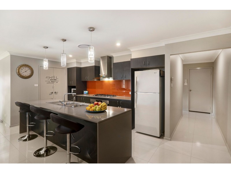16 Threadtail Street, Chisholm NSW 2322